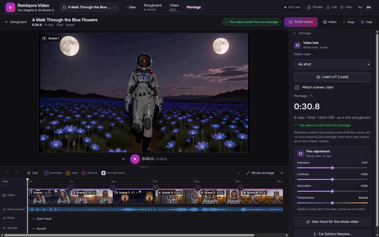 The montage timeline with transitions, sound lanes and the film's color